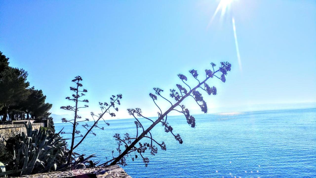 Znjanski Vidici Franka Split Exteriér fotografie